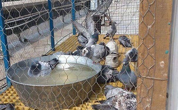 玻璃鋼格柵板生產企業