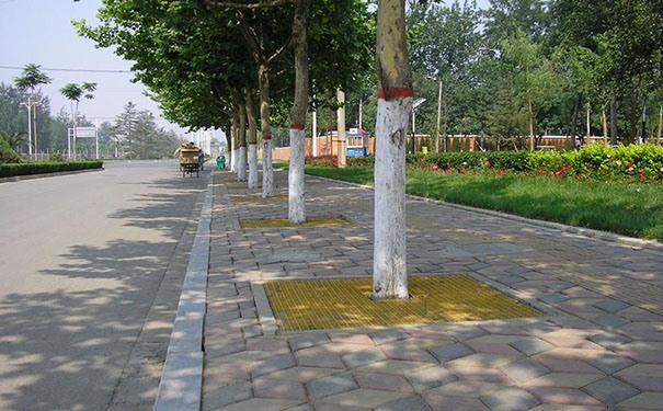 樹(shù)篦子